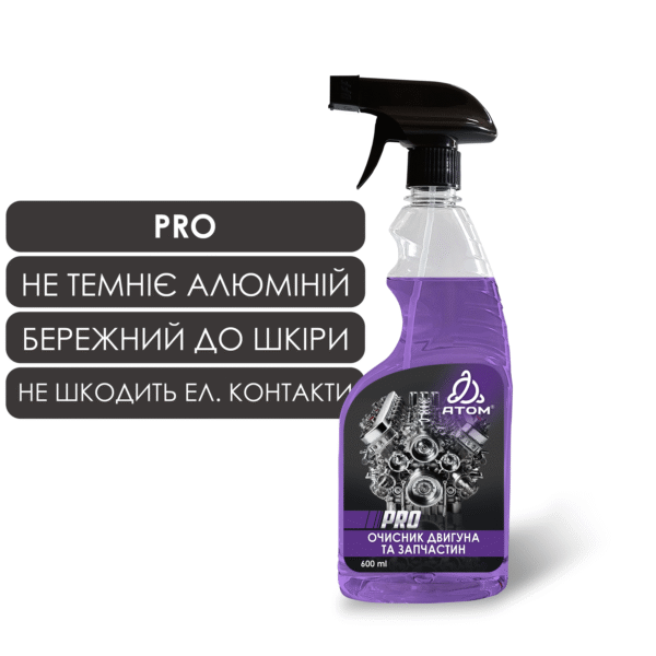 PRO 06 1